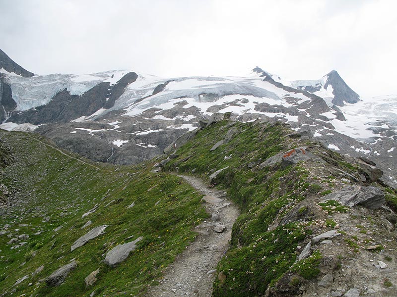 wildenkogel